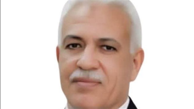 أيمن موسى وكيل وزارة