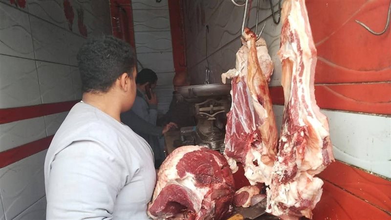 حملات تموينية على