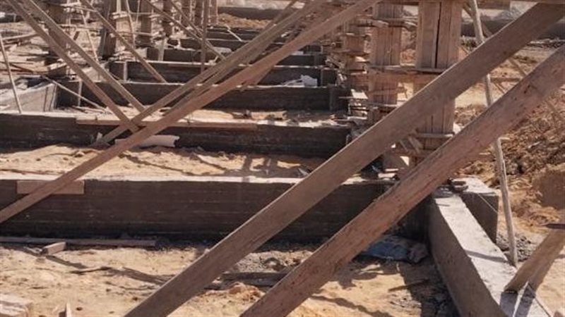 شلتر الكلاب، فيتو