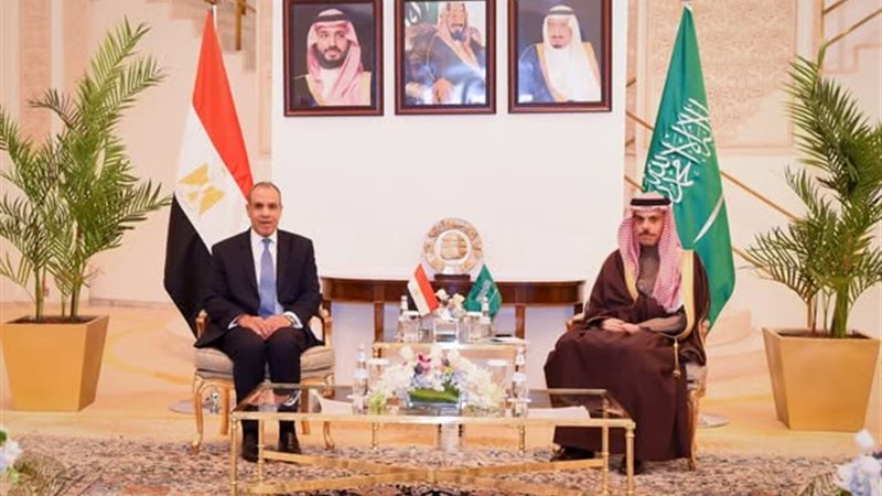 وزير الخارجية ونظيره