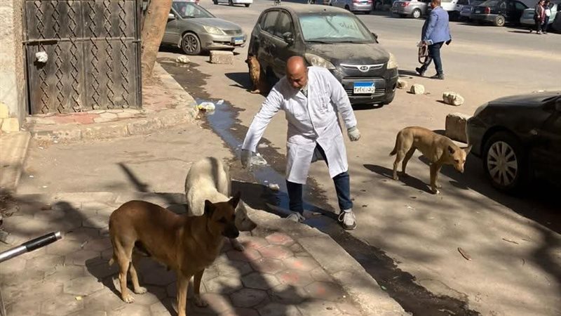 بيطري المنيا يواصل
