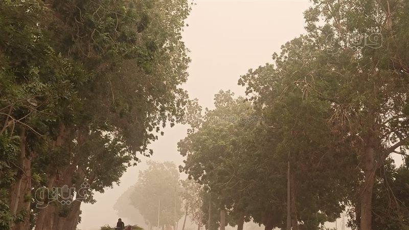 عاصفة ترابية الأقصر