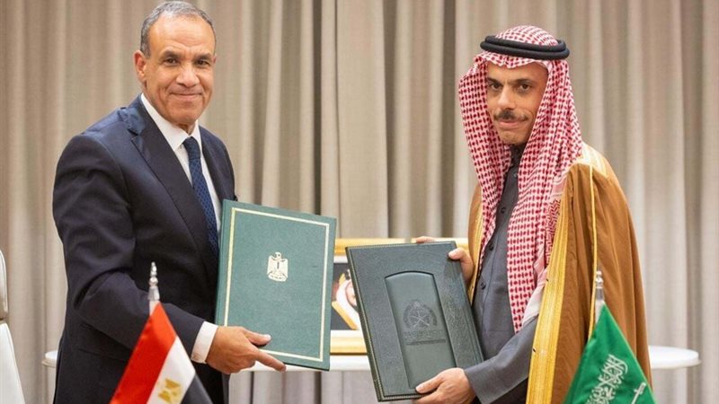 وزير الخارجية ونظيره