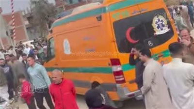 دهسته مقطورة أثناء عمله، إصابة موظف بمجلس مدينة شربين 