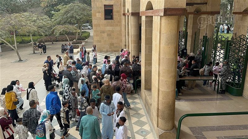 حديقة الأزهر، فيتو
