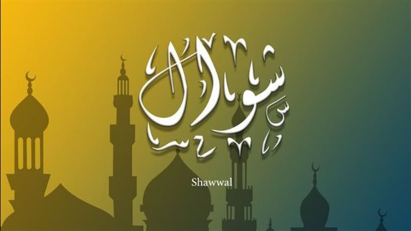 شهر شوال، فيتو