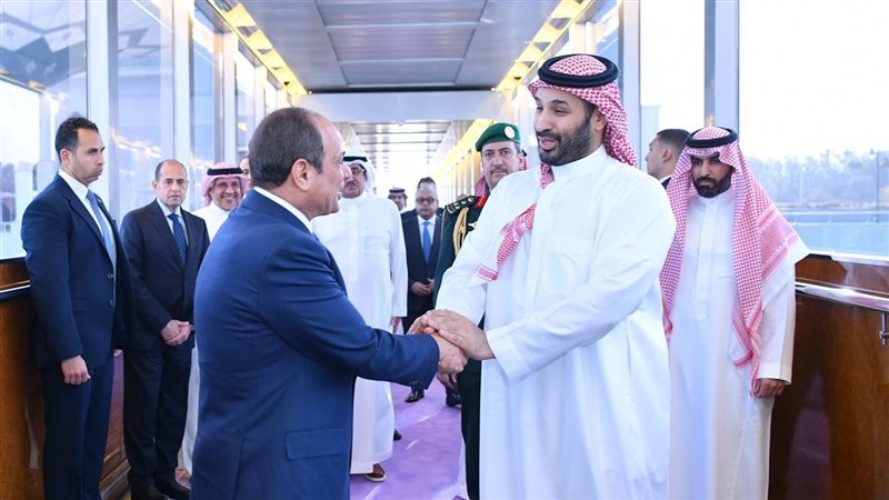 الرئيس السيسي وولي