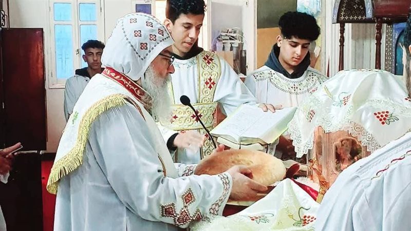 الأنبا مكاريوس، فيتو