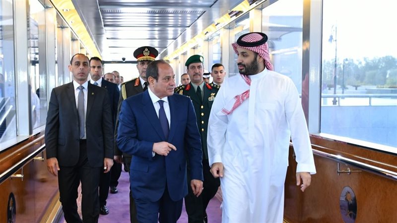 الرئيس السيسي وولي
