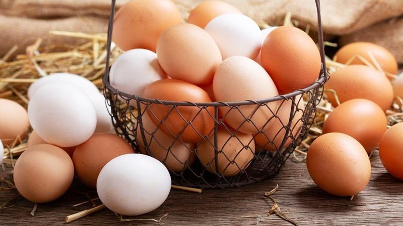 أسعار البيض اليوم،