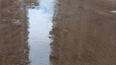 أمطار بالقليويية والمحافظة ترفع حالة الطوارئ 