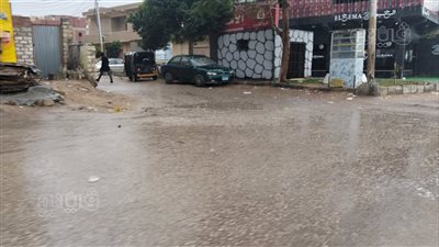 الشوارع خالية، موجة الطقس تجبر أهالي الإسماعيلية على البقاء في منازلهم (صور)
