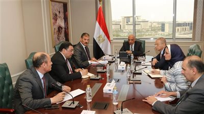 الكهرباء: الشبكة الموحدة قوية وقادرة على المزج بين أنواع الطاقة