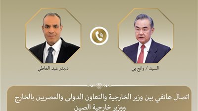 وزيرا خارجية مصر والصين يبحثان تطورات الأوضاع في الشرق الأوسط 
