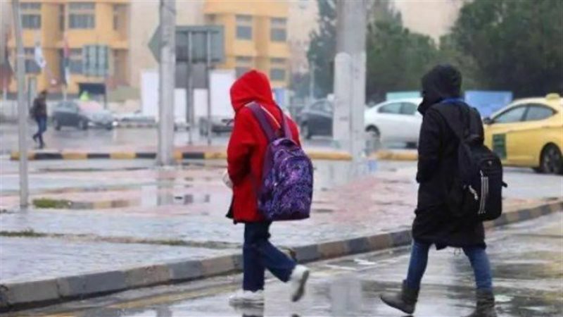 الدراسة، فيتو