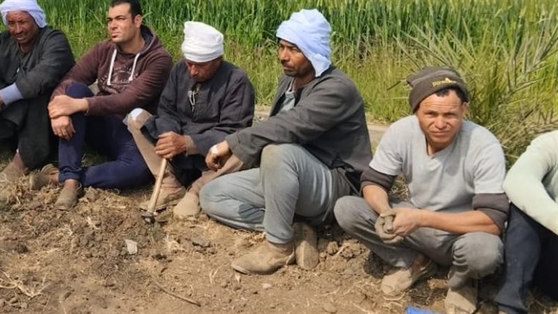 لقاءات إرشادية للمزارعين،