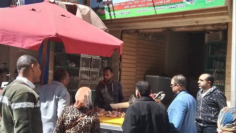 محلات الدواجن