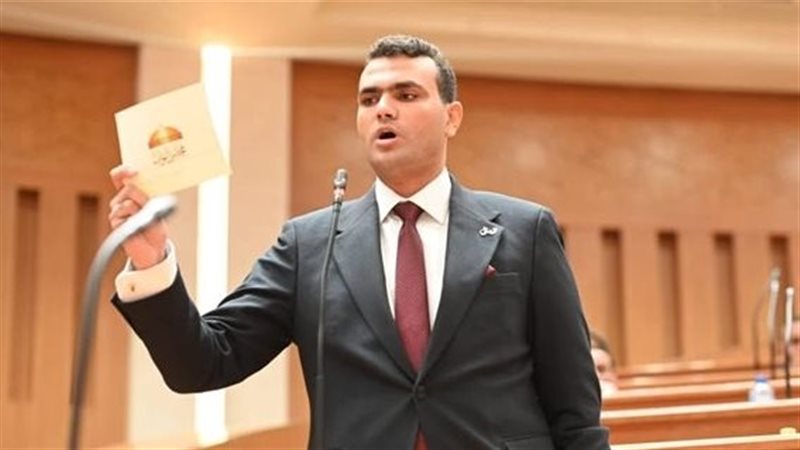 النائب حسين هريدي،
