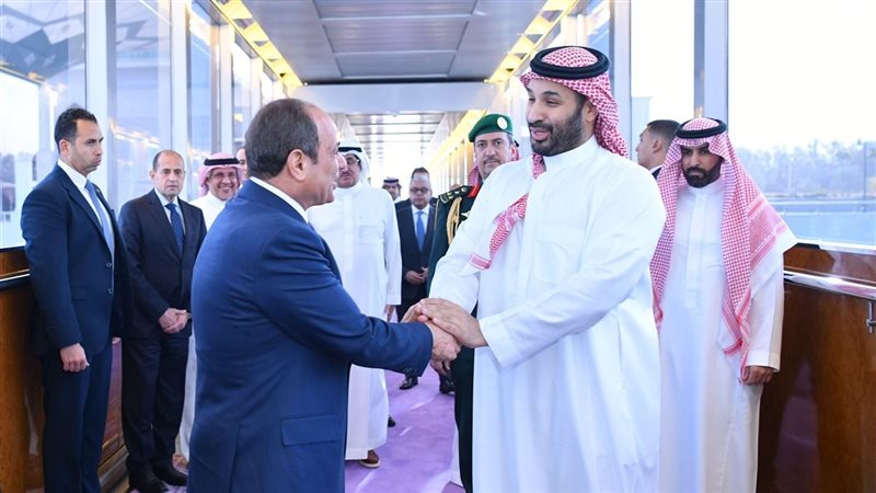 الرئيس السيسي وولي