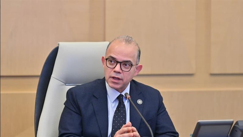 د.محمد فريد، وزير