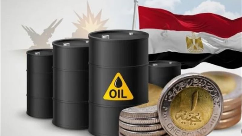 اقتصاد، فيتو 