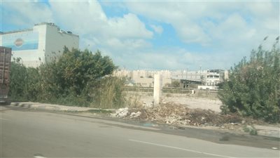سطوع الشمس واستقرار الأحوال الجوية في الإسكندرية 