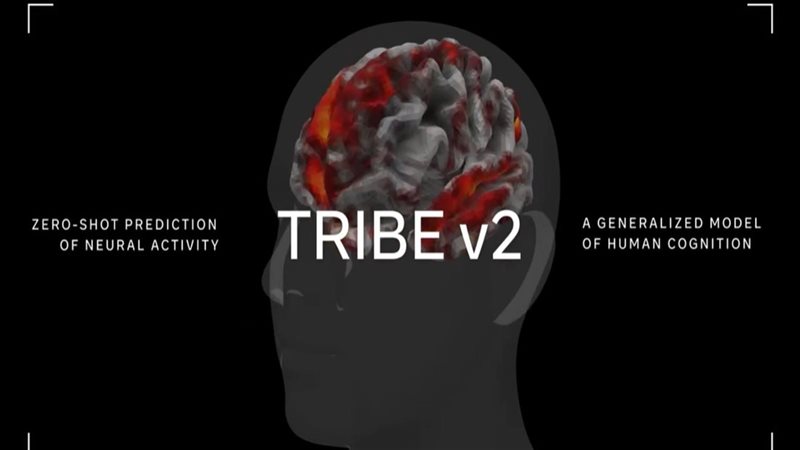 ميتا تطلق TRIBE v2