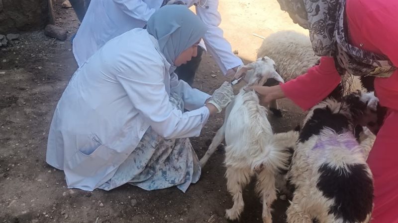  بيطري سوهاج تعالج