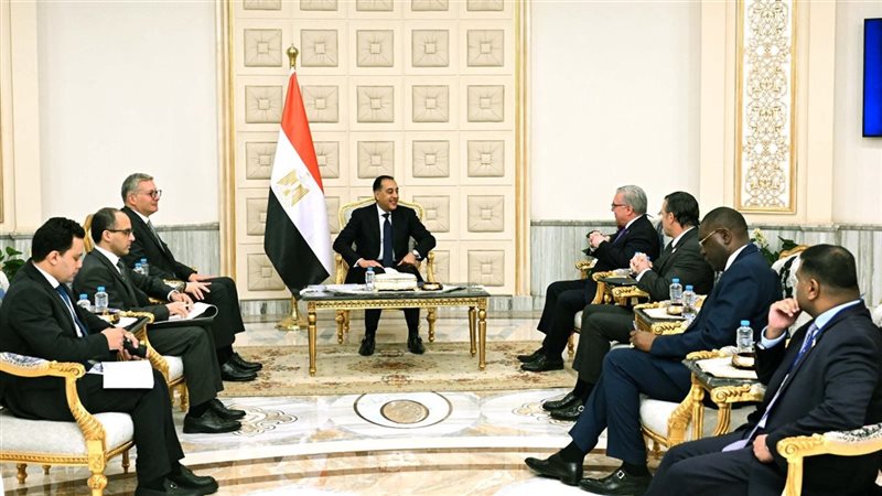 مدبولي يلتقي رئيس