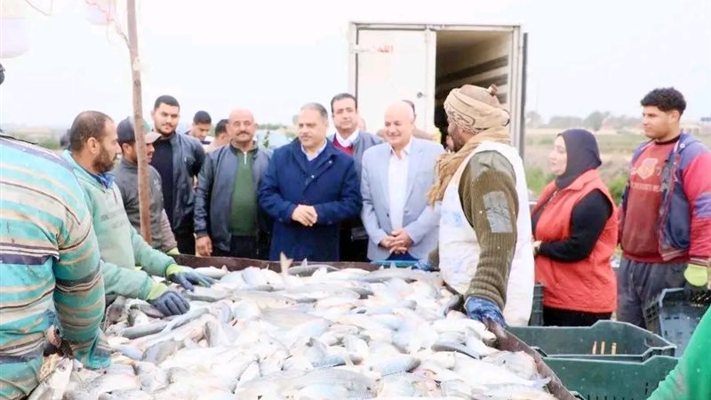 المزرعة السمكية بالعباسة،