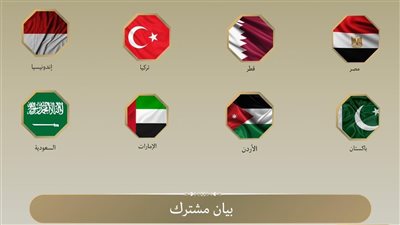 مصر و7 دول عربية وإسلامية تدين تصديق الكنيست على قانون إعدام الأسرى 