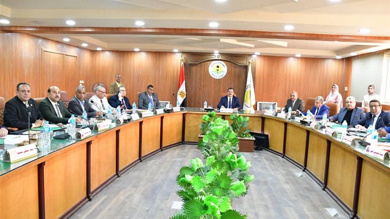 جامعة الوادي الجديد،