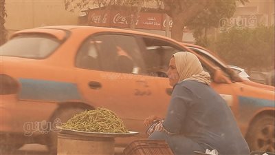 رغم العاصفة، بائعات التوت وعمال النظافة بالإسماعيلية ينتظرون الفرج وسط الظروف الصعبة (صور)