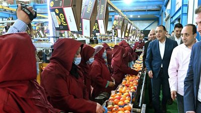 رئيس الوزراء يتفقد محطة الصواف لتعبئة الموالح والحاصلات الزراعية