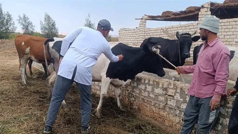 أعمال الحملة، فيتو