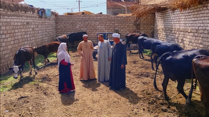 حملة تحصين الماشية