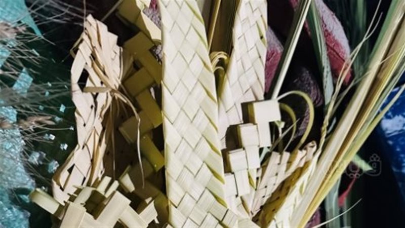 اسعار السعف في الجيزة،فيتو