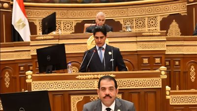 إحالة تقارير من الشيوخ إلى الحكومة وتوجيه بتنفيذ توصياتها