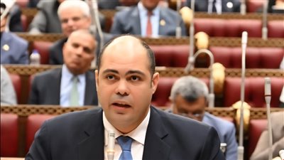  رئيس جهاز حماية المنافسة: القانون الجديد يحقق الرقابة ويمنع الاحتكار