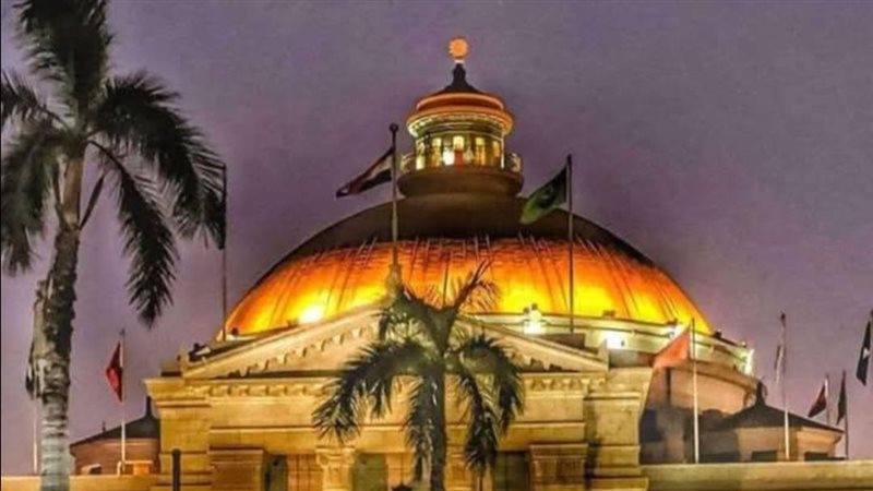 جامعة القاهرة، فيتو