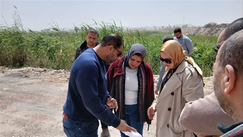 نائب محافظ الإسكندرية