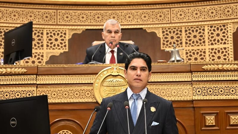 مجلس الشيوخ، فيتو
