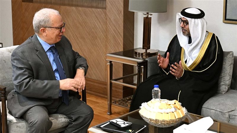 نائب رئيس الوزراء