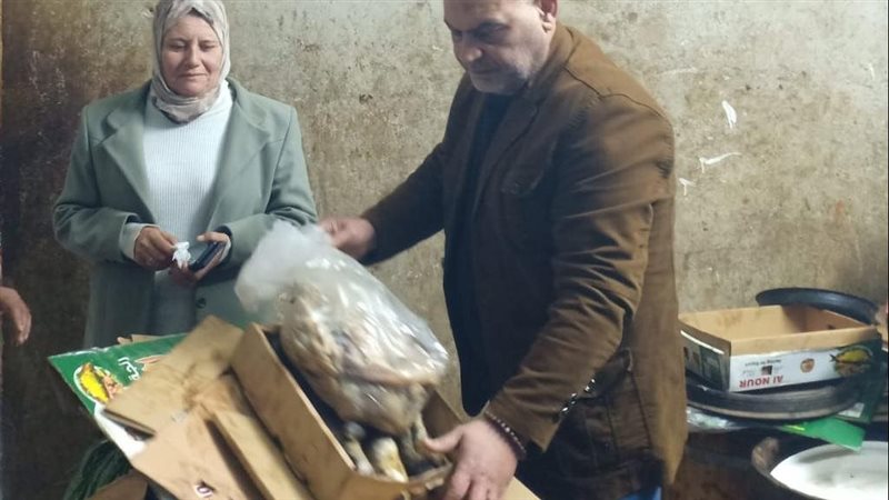 فسيخ ورنجة فاسدة