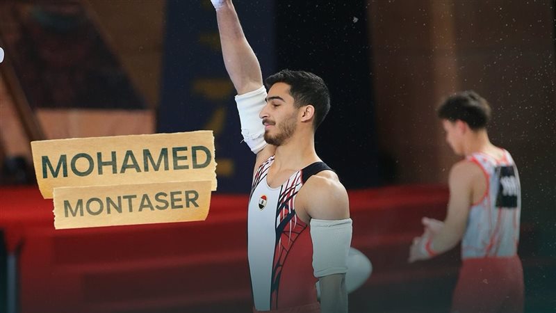 محمد منتصر عفيفي،