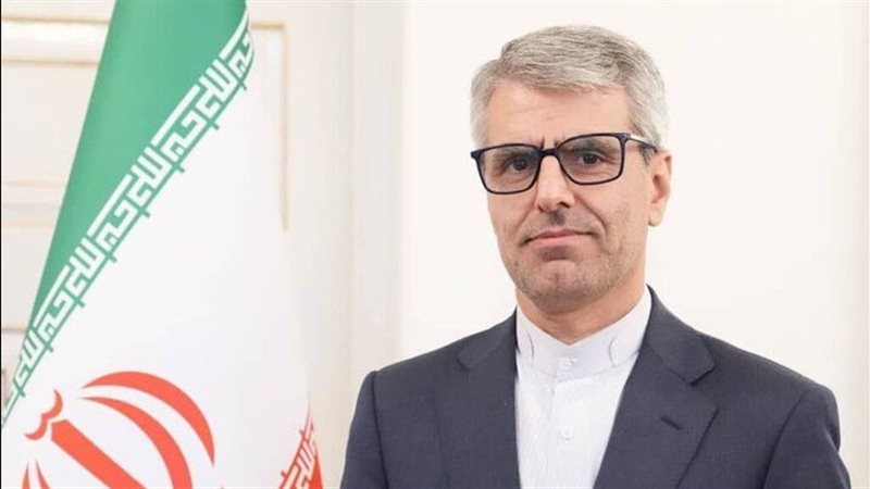 إسماعيل بقائي المتحدث