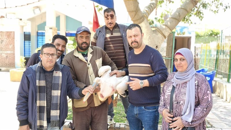 ضبط بجعة داخل محل
