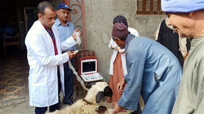 قوافل علاجية بيطرية بقرى صدفا والقوصية والفتح بأسيوط