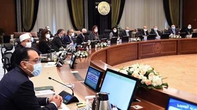 قرار عاجل من الحكومة بشأن محطة الزهراء لتربية الخيول العربية الأصيلة