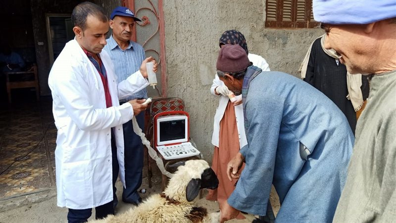 قافلة طبية بأسيوط